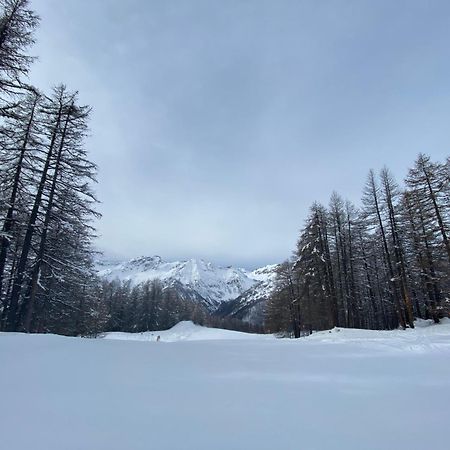 Les Granges D'Arvieux - Queyras - Appart 3Ch./6P. Luaran gambar